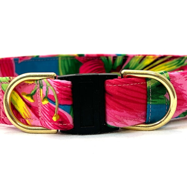 BREAKAWAY Dog Collar for Boy, Girl - Safety - Tropical Jungle Flowers