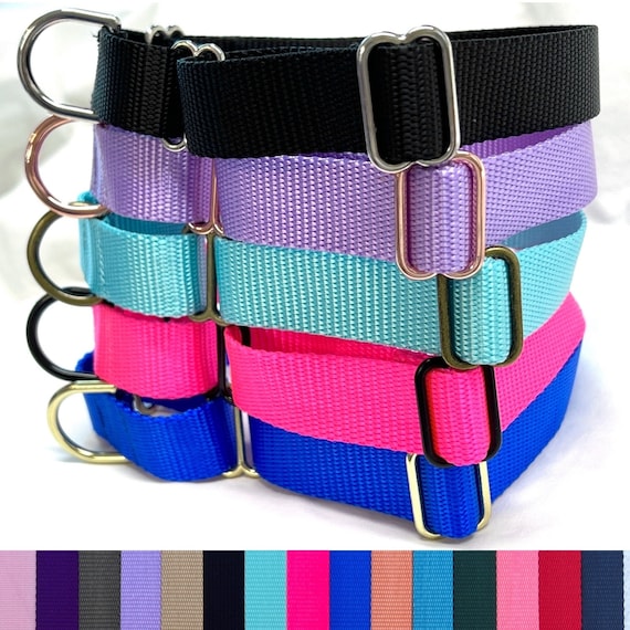 Classic Martingale Dog Collar - 18 NYLON WEBBING Colors- 5 Hardware Colors