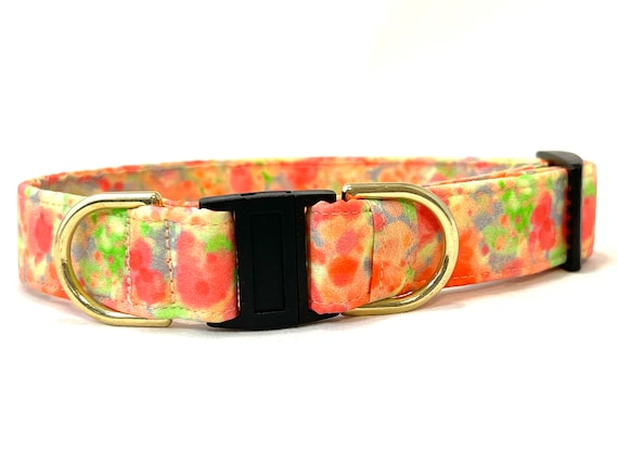 BREAKAWAY Dog Collar for Boy, Girl -Summer Orange Watercolor -  Safety