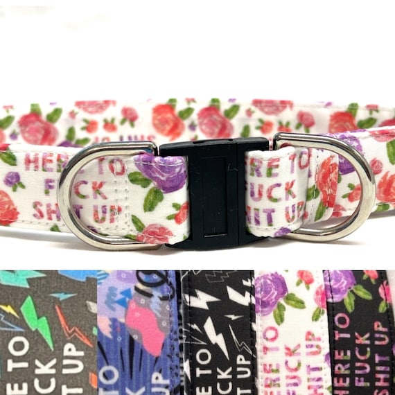 Funny BREAKAWAY Dog Collar - Here to F*ck Shit Up - Swearing - Troublemaker - Safety