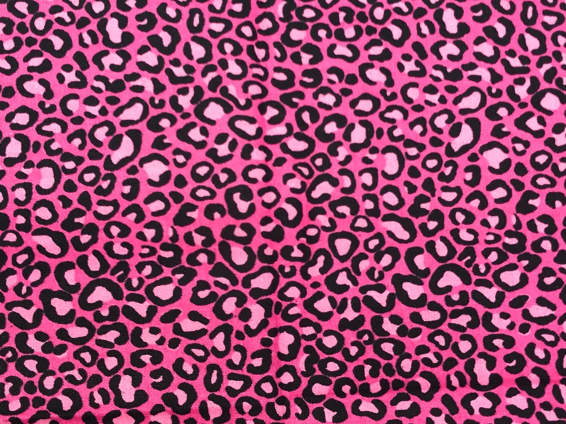 Leopard Cheetah Print Cat Collar Pink Blue Brown Animal Etsy UK