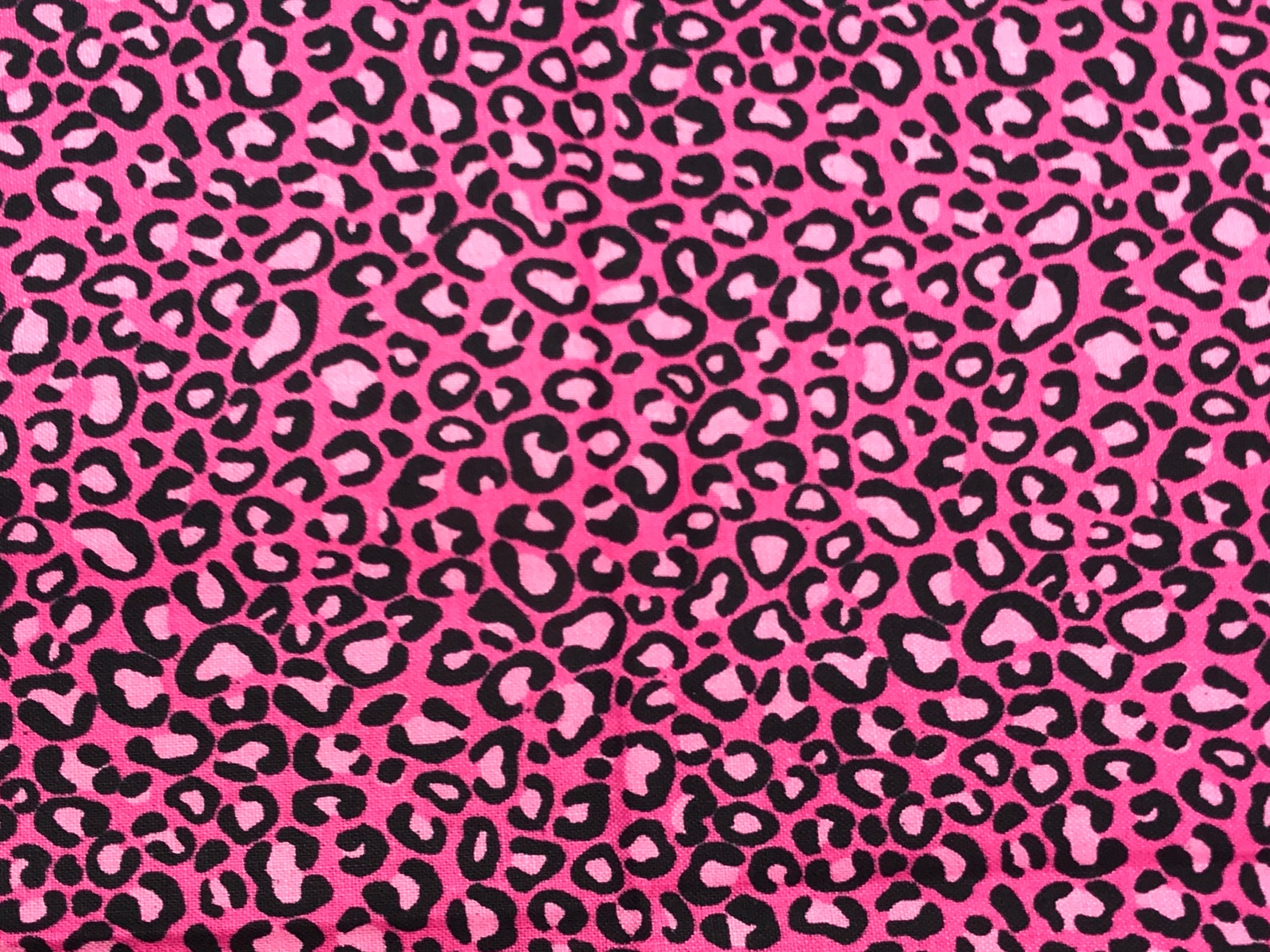 Leopard Cheetah Print Cat Collar Pink Blue Brown Animal Etsy