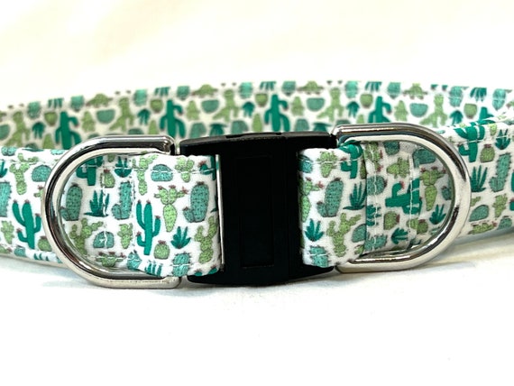 Cactus BREAKAWAY Dog Collar for Boy, Girl - Safety