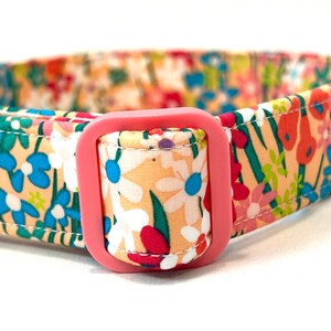 Summer Dog Collar for Girl, Boy - Peach Meadow Flowers - Rose Gold