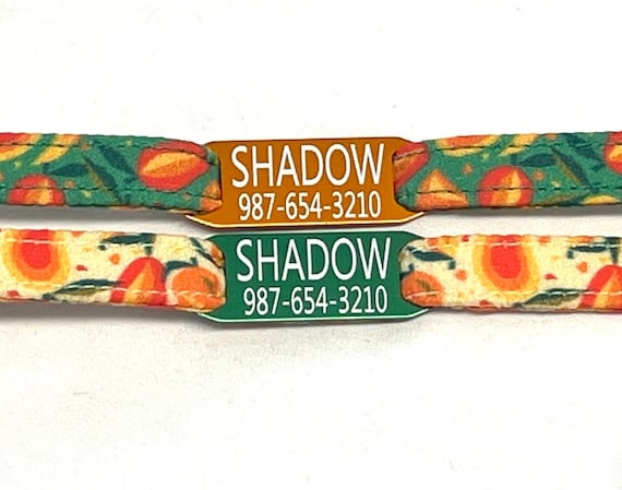 Personalized Cat Collar for Boy, Girl - Florida Mangoes- Slide-On ID Tag - Breakaway