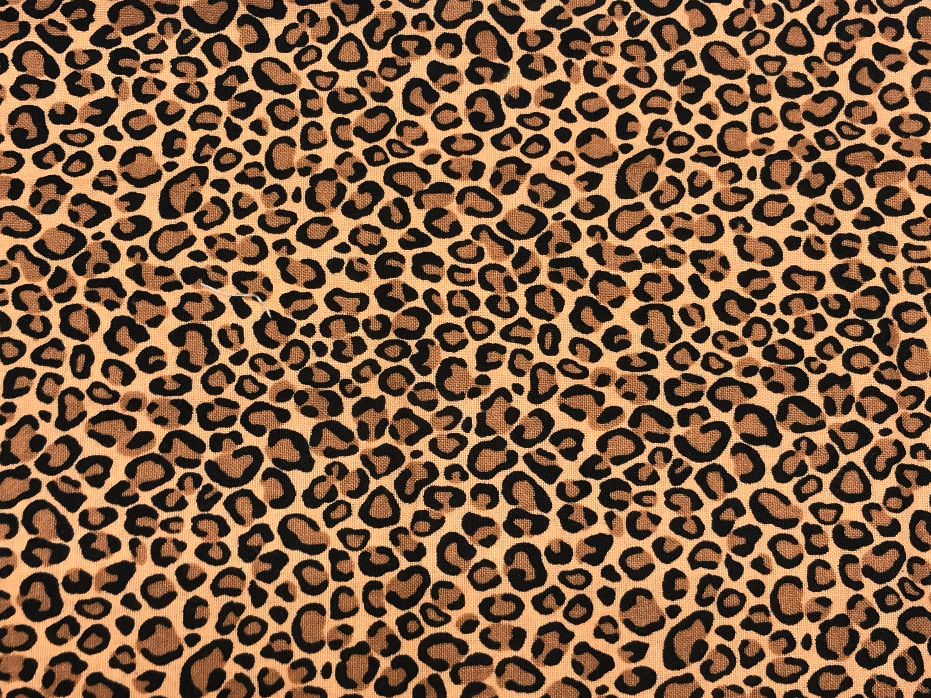 Leopard Cheetah Print Cat Collar Pink Blue Brown Animal | Etsy UK