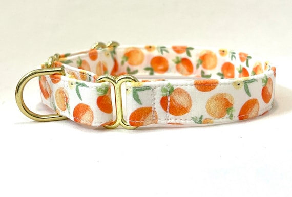 Classic Martingale Dog Collar - Watercolor Peaches with White Background