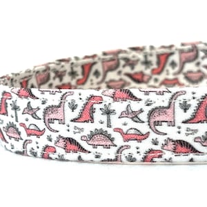 Dinosaur Print Breakaway Dog Collar – Safety Buckle, Custom Colors