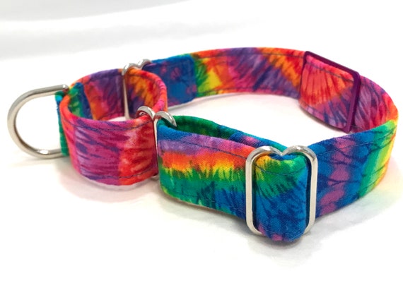 Tie Dye Classic Martingale Dog Collar with Personalized ID Tag - Neon Rainbow Festival