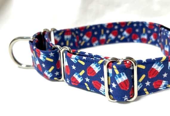 Classic Martingale Dog Collar - Patriotic Red White and Blue Rocket Pop Frozen Treat