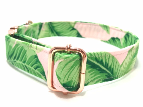 Tropical Palms Beach Dog Collar - Metal Rose Gold Buckle