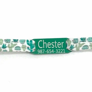Personalized Cat Collar for Boy Girl - Cactus - Slide-On ID Tag - Breakaway