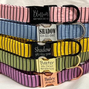 Paris Pinstripes - Personalized Dog Collar - Laser Engraved Buckle