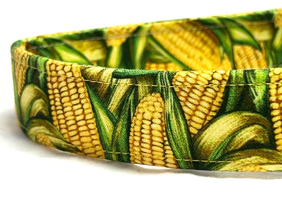 Corn on the Cob Dog Collar for Boy Girl- Food- Xsmall Small Medium Large XL