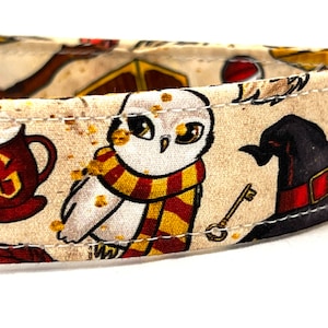 Wizard Dog Collar for Girl Boy - Magical Witchcraft - Multiple Color Choices