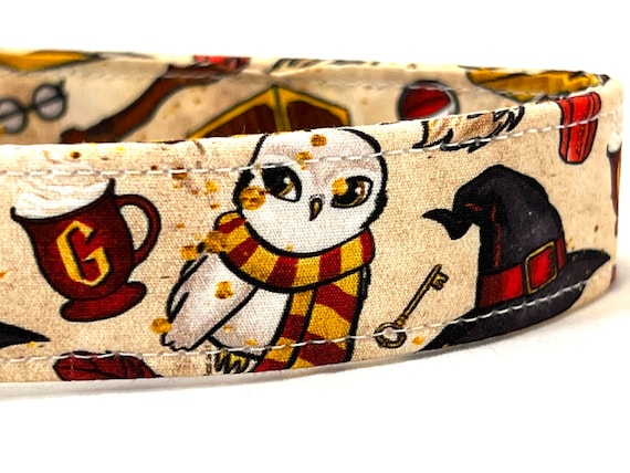 Wizard Dog Collar for Girl Boy - Magical Witchcraft - Multiple Color Choices