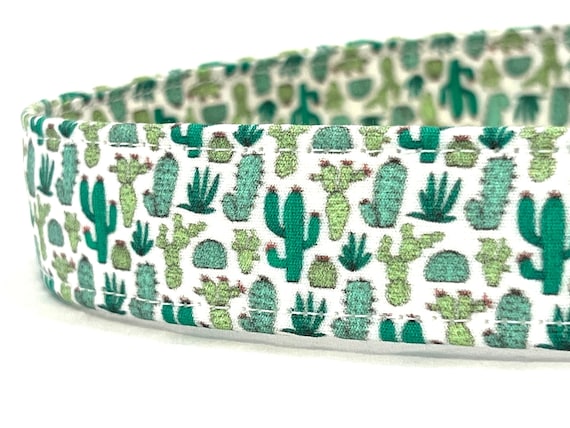 Cactus Dog Collar for Boy Girl - XXS, XS, Small, Medium, Large, XL