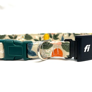 Fi Series 3 Compatible Dog Collar PLASTIC Buckle - 1&quot; or 3/4&quot; Wide Rifle Paper Co. Florida Citrus