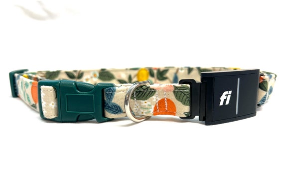 Fi Series 3 Compatible Dog Collar – Rifle Paper Co. Florida Citrus