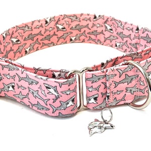 Sharks Martingale Dog Collar for Girl, Boy