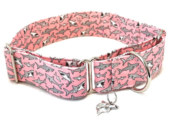 Sharks Martingale Dog Collar for Girl, Boy