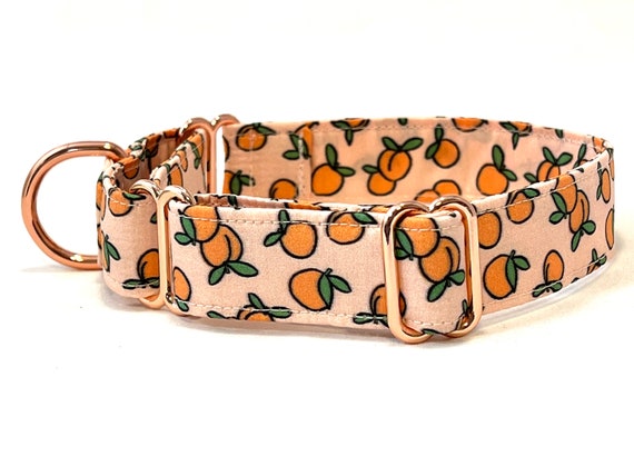 Classic Martingale Dog Collar - Rose Gold Hardware - Juicy Peaches