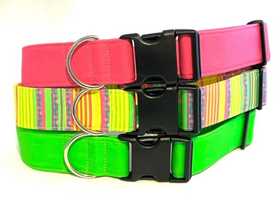 Neon Stripes, Solid Colors Dog Collar for Boy, Girl - Pink, Green, Yellow
