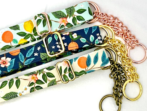Rifle Paper Co. Dog Collar - Florida Citrus Print, 1" Chain Martingale