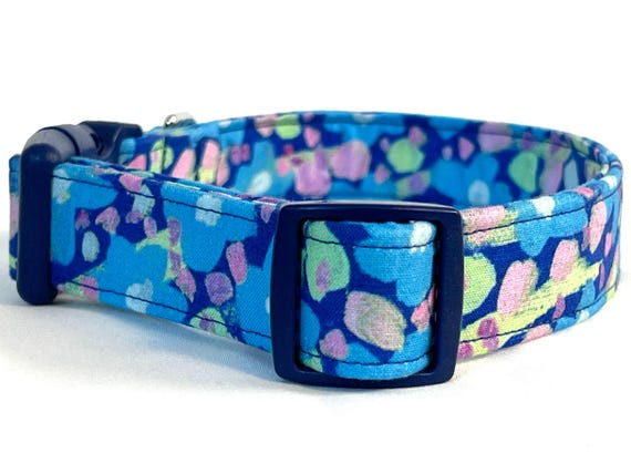 Blue Dog Collar for Boy - Jennifer Paganelli - Randi Royal Blue