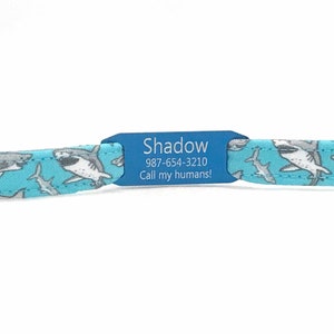 Personalized Aqua Shark Cat Collar for Boy, Girl - Slide-On ID Tag - Breakaway