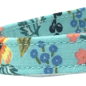 Rifle Paper Co. Breakaway Cat Collar - Herb Garden Mint