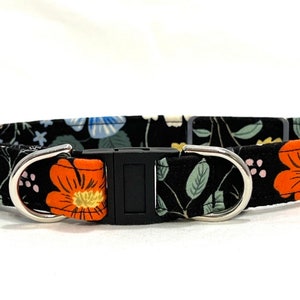 Rifle Paper Co. BREAKAWAY Dog Collar for Boy, Girl - Safety - Strawberry Fields