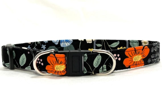 Rifle Paper Co. BREAKAWAY Dog Collar for Boy, Girl - Safety - Strawberry Fields