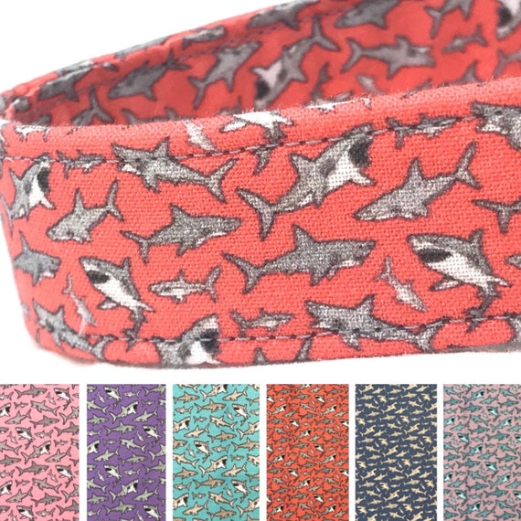 Shark Dog Collar for Boy Girl - Coral Sea + More Colors