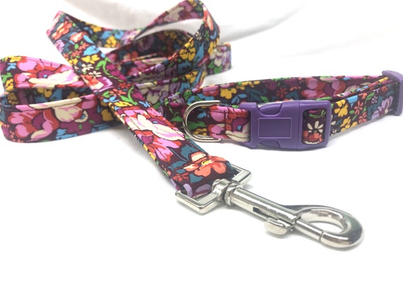 Fall Dog Collar Leash Set - Anna Maria Horner Burgundy Floral