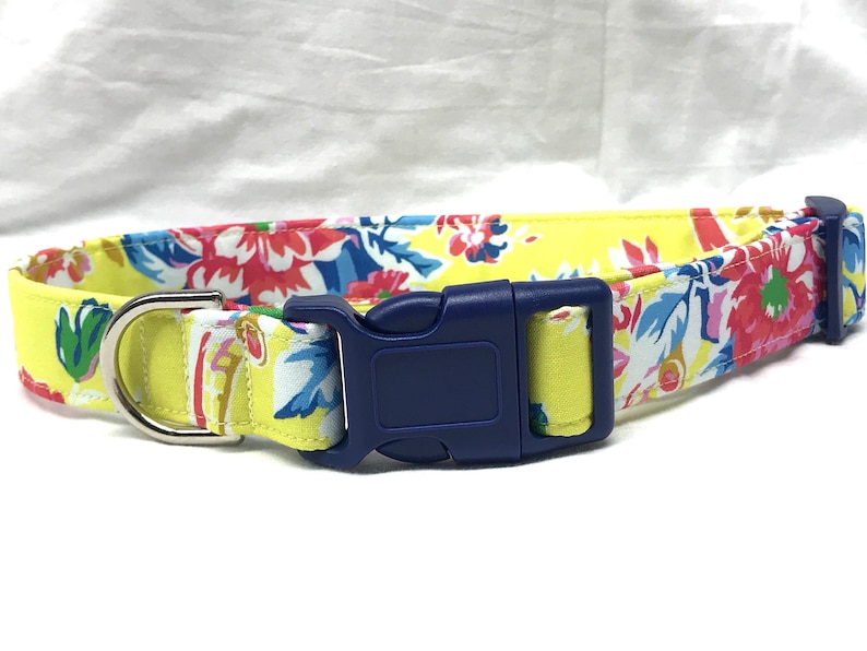 Summer Dog Collar for Boy Girl Jennifer Paganelli Fabric Sugar Beach Loopy