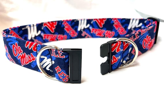 Mississippi Football BREAKAWAY Dog Collar for Boy, Girl - Safety - Pick a Sports Team