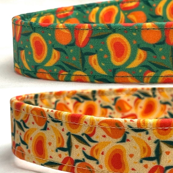 Dog Collar for Girl, Boy -  Florida Mangoes