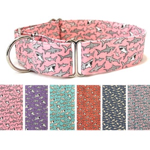 Sharks Martingale Dog Collar for Girl, Boy