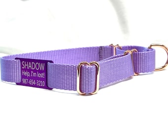 Classic Martingale Dog Collar-Personalized ID Tag-18 Colors NYLON WEBBING