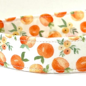 Dog Collar for Girl, Boy -  Watercolor Peaches White Background