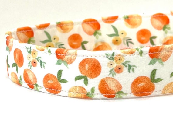 Dog Collar for Girl, Boy -  Watercolor Peaches White Background