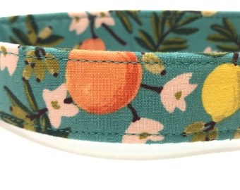Rifle Paper Co Dog Collar for Girl, Boy - PLASTIC Buckle - Citrus Floral - Lemons, Oranges