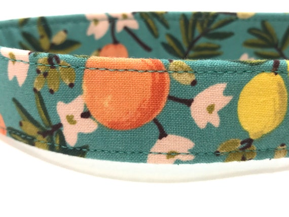 Rifle Paper Co Dog Collar for Girl, Boy - PLASTIC Buckle - Citrus Floral - Lemons, Oranges