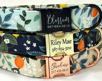 Personalized Rifle Paper Co Dog Collar for Boy, Girl - Engraved Buckle - Florida Citrus