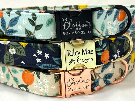 Personalized Rifle Paper Co Dog Collar for Boy, Girl - Engraved Buckle - Florida Citrus