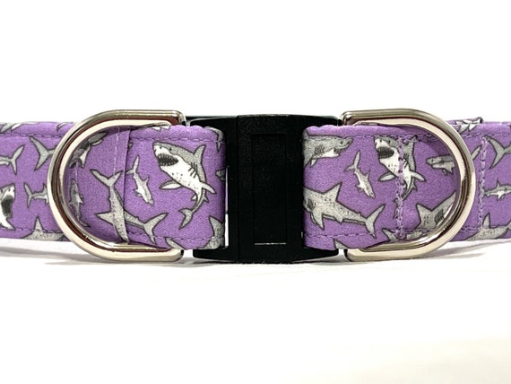 BREAKAWAY Dog Collar for Boy, Girl - Purple Sharks - Safety