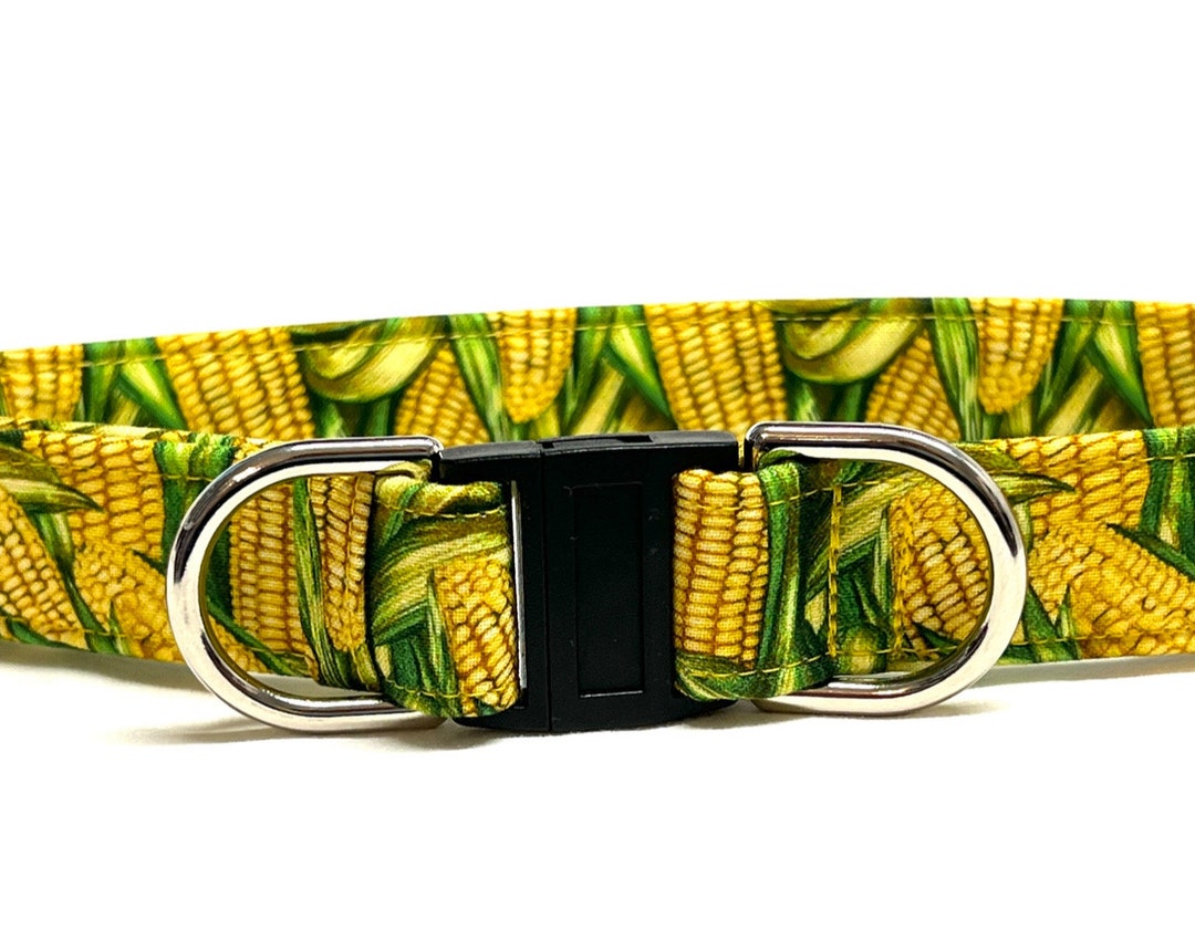 BREAKAWAY Dog Collar for Boy, Girl Yellow Corn Cobs Harvest