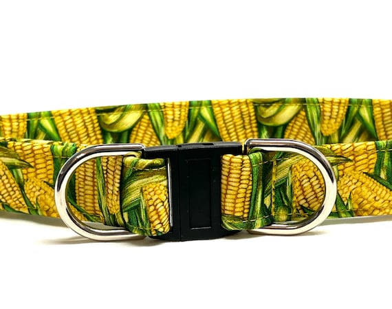 BREAKAWAY Dog Collar for Boy, Girl - Yellow Corn Cobs Harvest - Safety