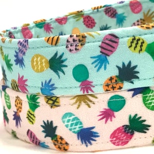 Summer Dog Collar for Girl, Boy - Tropical Pineapples - Mint, Pink